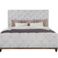 Andria - Upholstered Bed