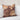 Transcendence - Folly Pillow