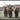 Highland - 48" x 72" Photography - Dark Brown