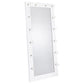 Zayan - Length Floor Mirror With Lighting