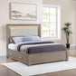 Kenora - LED Storage Bed