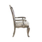 Ariadne - Arm Chair (Set of 2) - Velvet & Antique Platinum