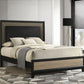 Valencia - Wood Panel Bed