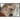 Podent - 48" x 72" Painting By Buddy Whitlock - Black