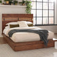 Winslow - Wood Panel Bed