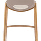 Desi - Counter Stool (Set of 2)