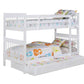 Chapman - Wood Bunk Bed