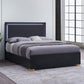 Marceline - Wood LED Panel Bed