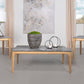 Polaris - Smarttop Coffee And End Table Set