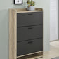 Denia - 3-Tier Engineered Wood Shoe Cabinet