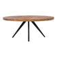 Parq - Oval Dining Table - Brown