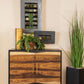 Zara - 2-Door Wood Accent Storage Cabinet