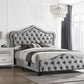 Bella - Upholstered Panel Bed