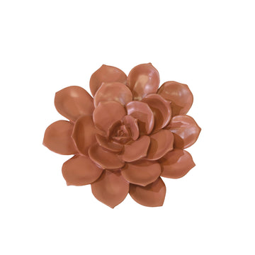 Ec Wall Flower - Pink