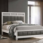 Barzini - Upholstered Panel Bed