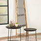 Loannis - 2 Piece Round Mango Wood Nesting Table - Matte Black