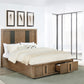 Terrace - 2-Drawer Storage Bed