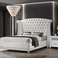 Barzini - Upholstered Wingback Bed