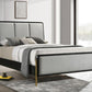 Arini - Upholstered Panel Bed