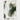 Algae - Painting Art By Buddy Whitlock