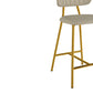 Ariana - Counter Stool (Set of 2)