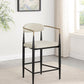 Tina - Metal Counter Height Bar Stool With Upholstered Back And Seat (Set of 2)