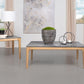 Polaris - Smarttop Coffee And End Table Set