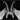 Goat - 48" x 72" Photography - Black