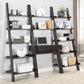 Colella - 3 Piece Ladder Desk And Bookcase Set - Cappuccino