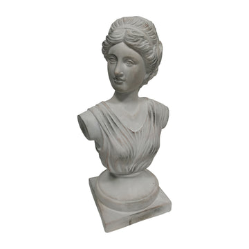 Venus Bust - Distressed White