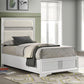 Miranda - Upholstered Panel Bed