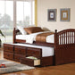 Norwood - 3-Drawer Twin Bed With Captains Trundle - Chestnut