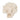 12" Coral Fan Decor - Ivory