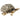 2" Candela Pyrite Sea Turtle - Silver