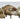 Dresden - Loveseat With 3 Pillows - Bone Synthetic Leather & Gold Patina