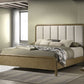 Amsbury - Upholstered Bed