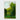 Woodland - Painting Art By Buddy Whitlock - Green