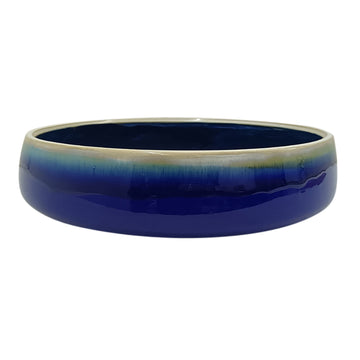 15" Reactive Succulent Planter Bowl - Blue/White