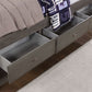 Tibalt - Full Daybed With Trundle - Dark Gray